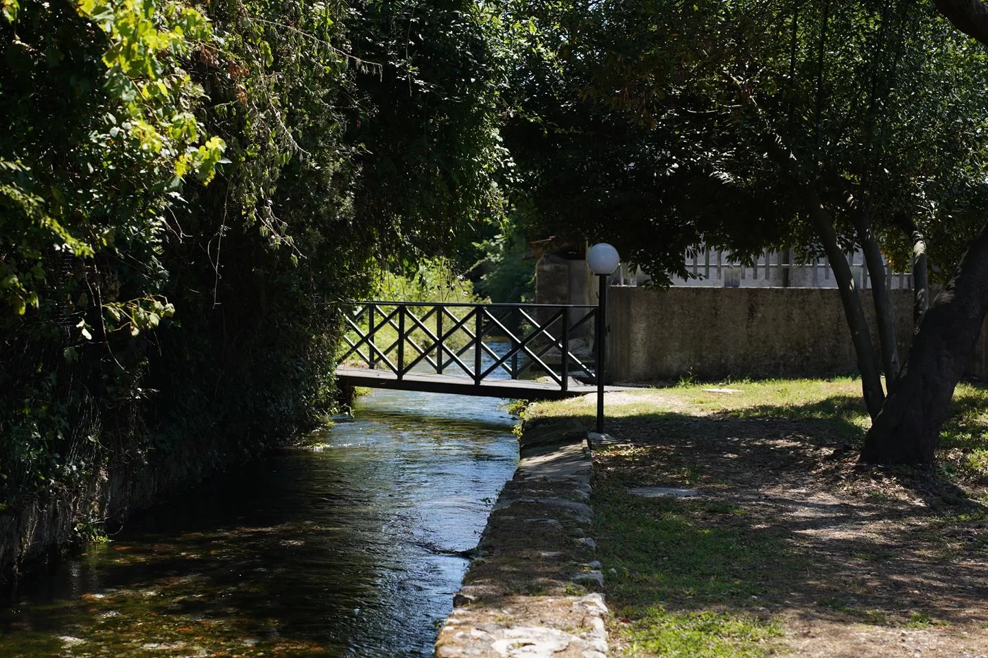 Comune-di-San-Giorgio-a-Liri-270