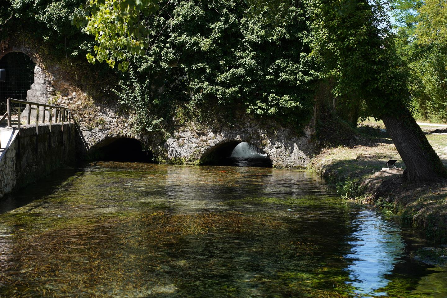 Comune di San Giorgio a Liri 287