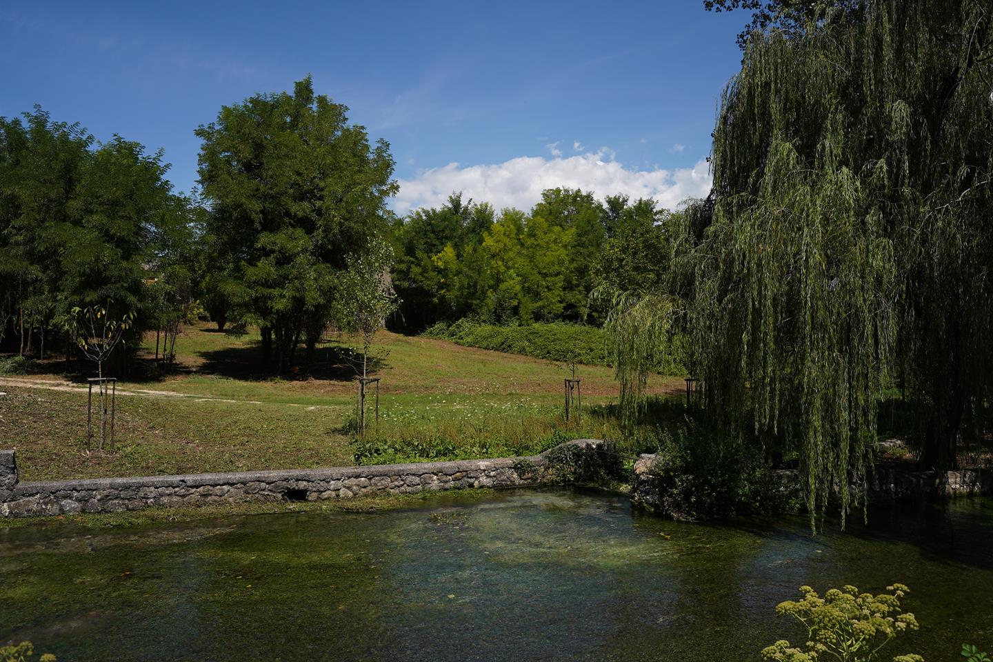 Comune-di-San-Giorgio-a-Liri-307