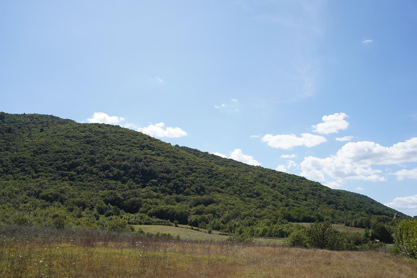 Comune di San Giorgio a Liri 390