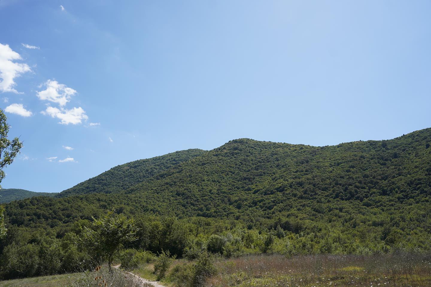Comune di San Giorgio a Liri 392