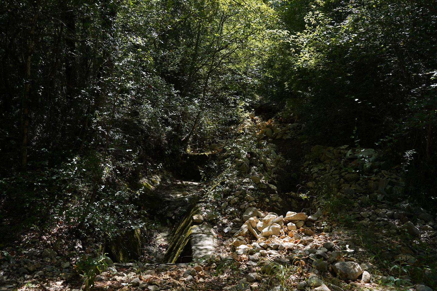 Comune di San Giorgio a Liri 401
