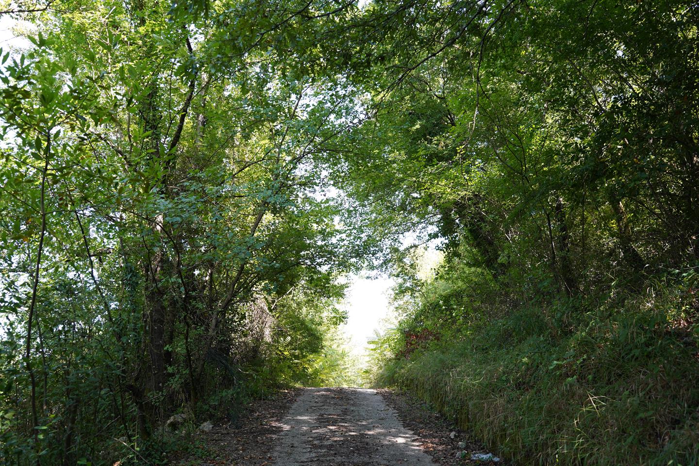 Comune di San Giorgio a Liri 424