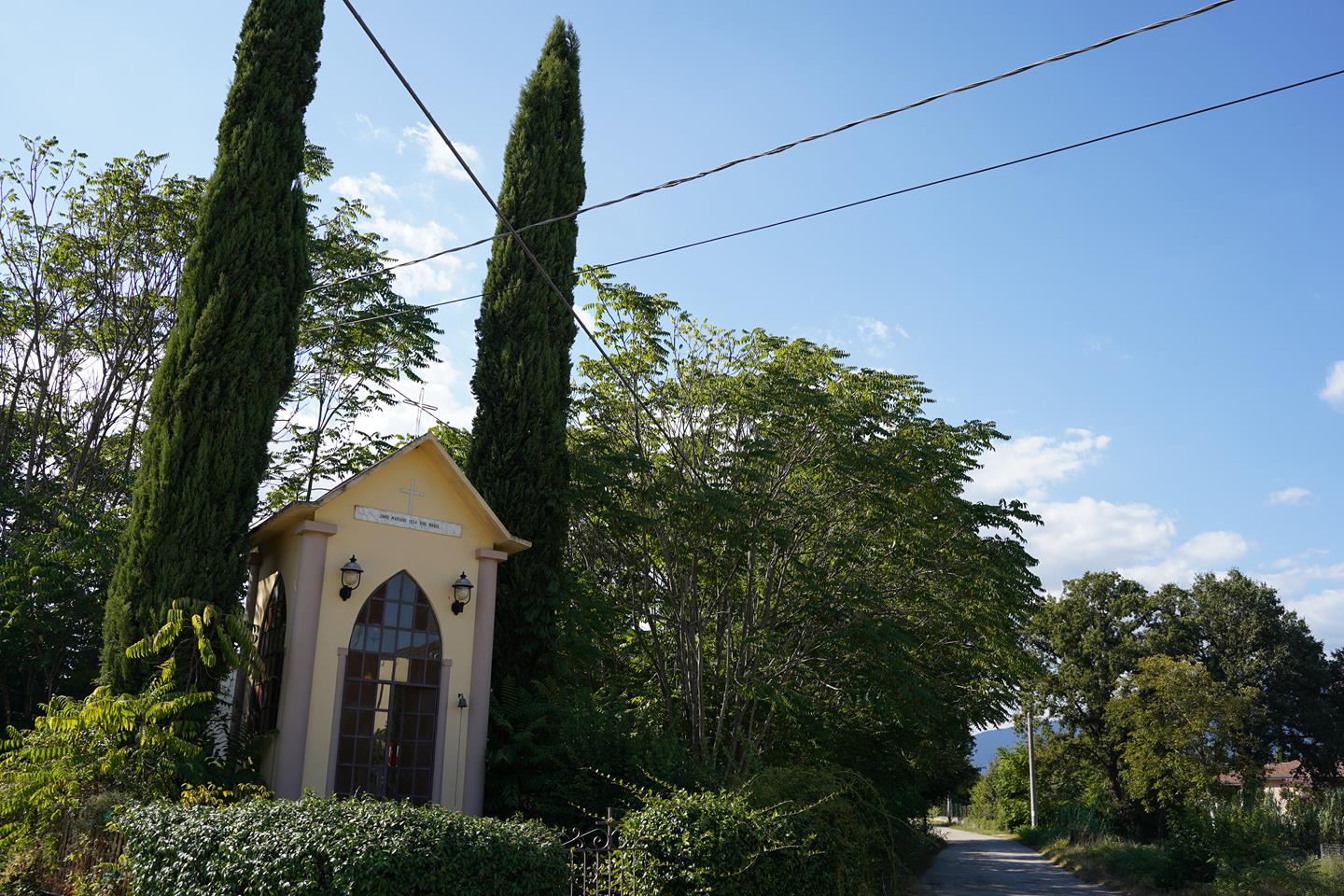 Comune di San Giorgio a Liri 503