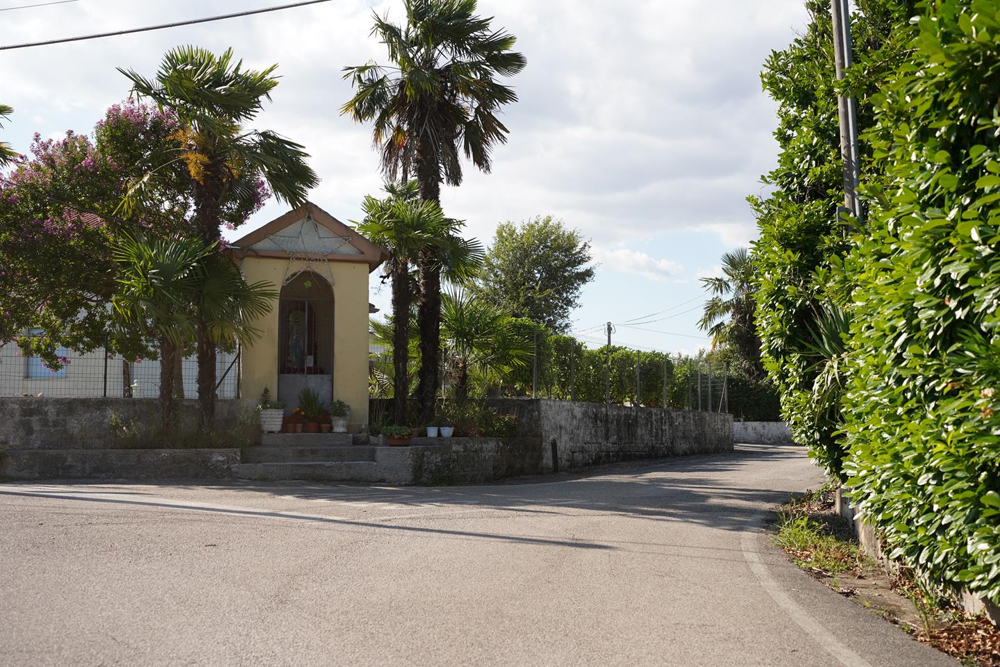 Comune di San Giorgio a Liri 511